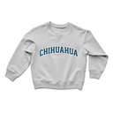 KIDS ESTADOS "UNIVERSITY" LIGHT GREY CREWNECK
